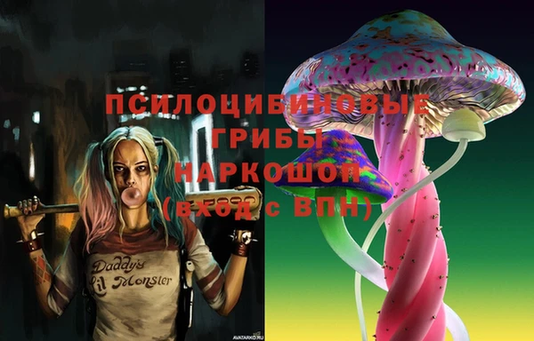 a pvp Володарск
