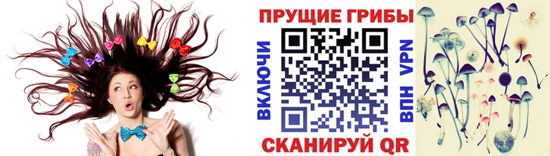 Псилоцибиновые грибы мухоморы  купить наркотик  кракен сайт  Ирбит 